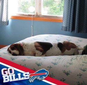 Meet your Posher, Bev